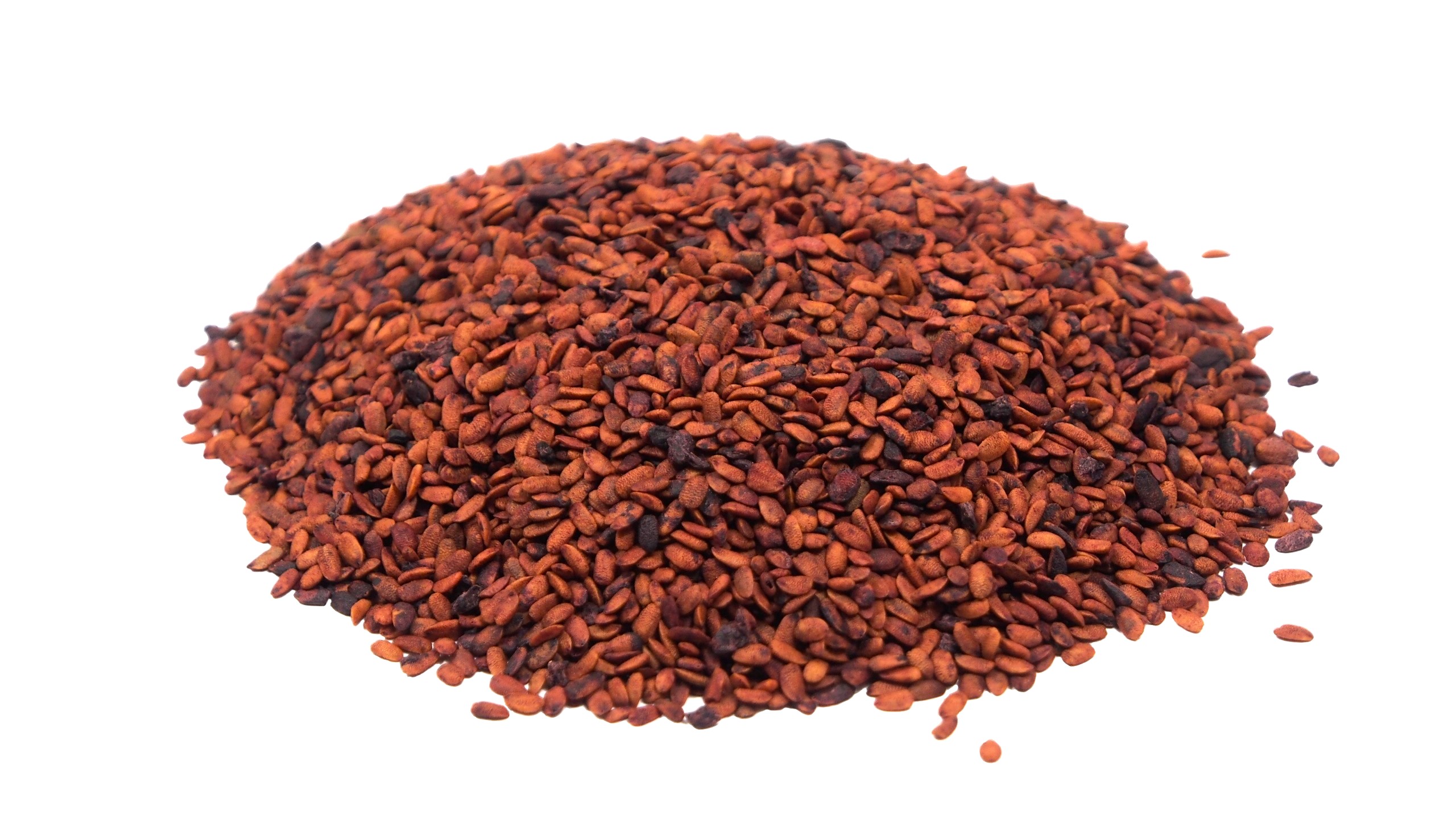 Elderberry seed oil