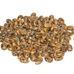 Castor Seeds Rizinus Samen